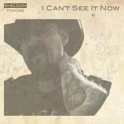 I Can't See It Now