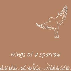 Wings of a Sparrow