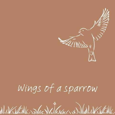 Wings of a Sparrow