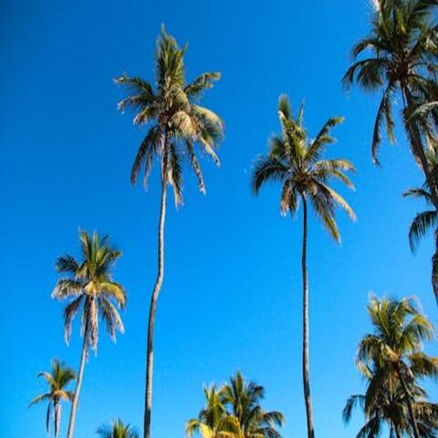 TAKE ME