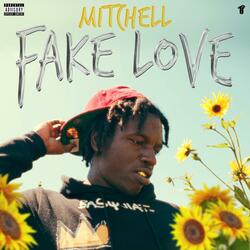 Fake Love