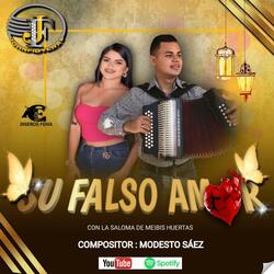SU FALSO AMOR