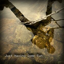 Just Having Some Fun