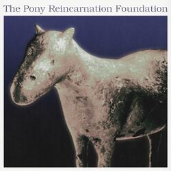 In The Pony Game