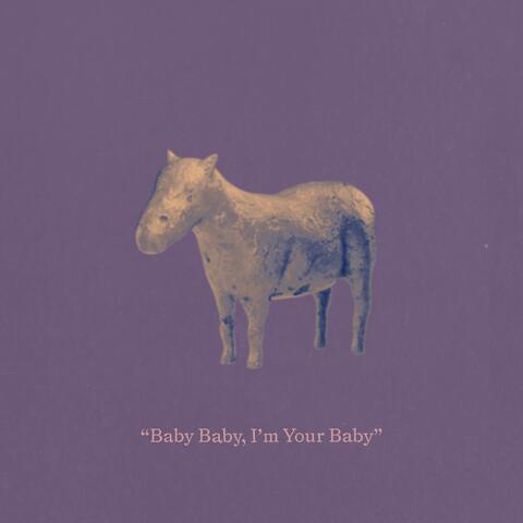 Baby Baby, I'm Your Baby