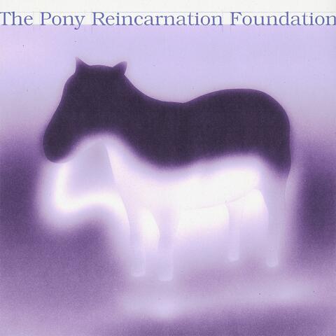 Pony Lonely
