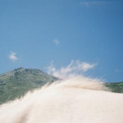 Are You Close to Your Pony ?