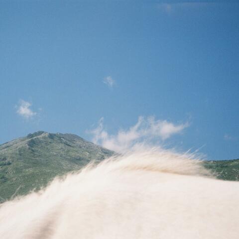Pony Sky