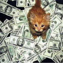 hello money callin
