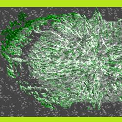 Smooth Thunderthighs