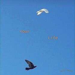 Your Life