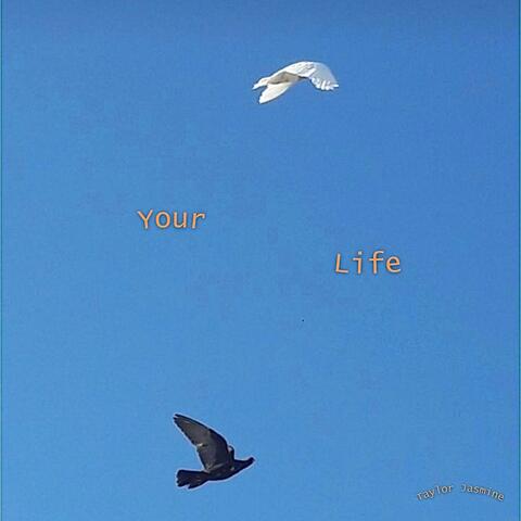 Your Life