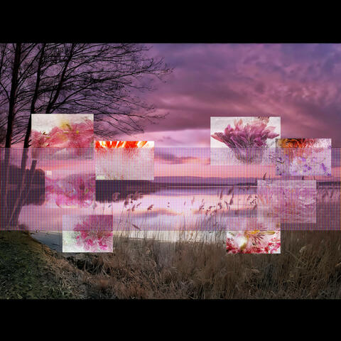bal uhd's 1