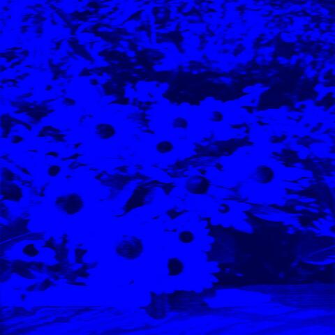 Ambient dream