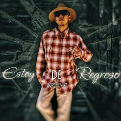 estoy de regreso