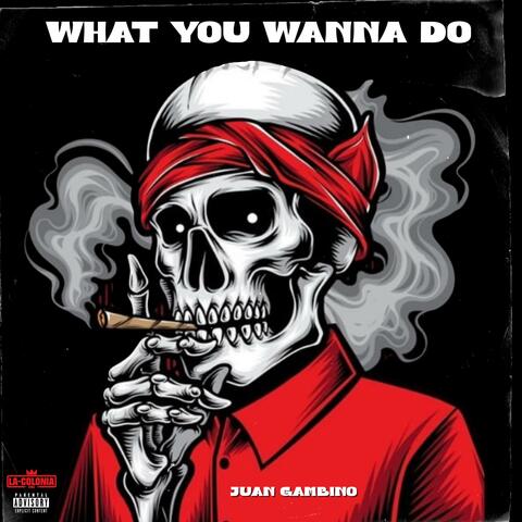 What You Wanna Do?