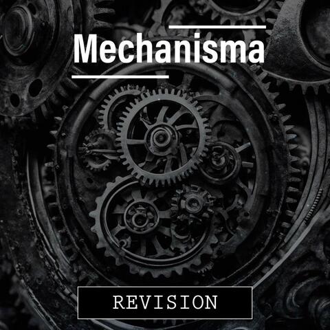 Revision