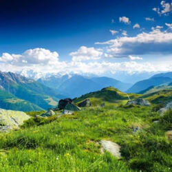 Higher ground melodica