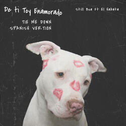De Ti Toy Enamorado (feat. El Habata)