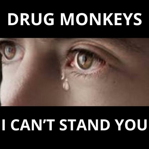 I CAN'T STAND YOU