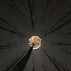 Beautiful Place To Cry(STRIPPED)