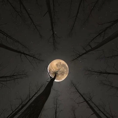 Beautiful Place 2 Cry