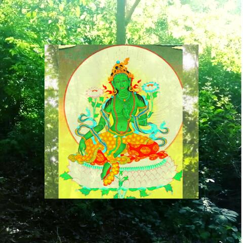 Om Tare Tuttare Ture Soha (Green Tara Mantra) Mother Prajnaparamita Buddha nature