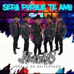 Será Porque Te Amo