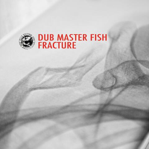 Fracture