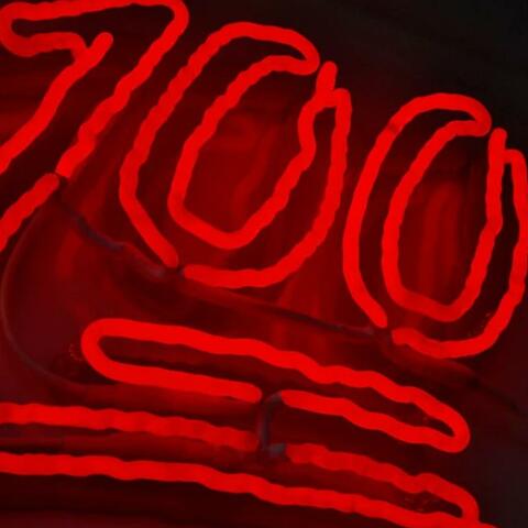 Im 100