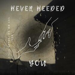 Never needed You (feat. Afterlife Hb & Lul vek)