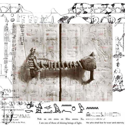 they that break this tomb shall meet death by a disease that no doctor can diagnose (or: death will slay with his wings whoever disturbs the peace of the pharaoh)