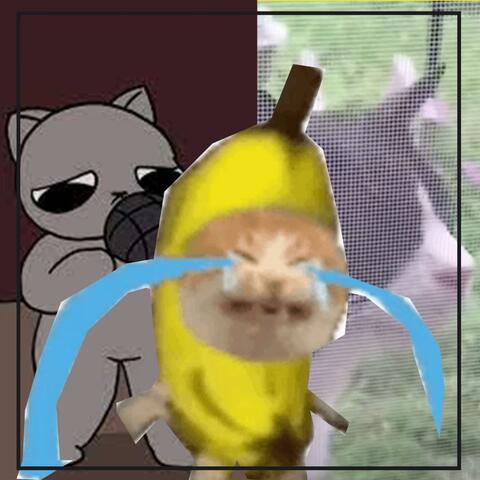 Wha Wha Wha cat song