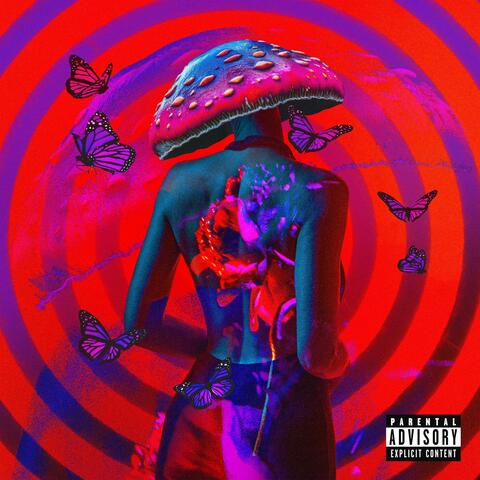 TT Baby (Trippy Time)