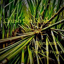 Crush the Cane (feat. The Pikey Project)