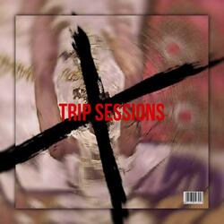 TrIp SeSsIoNs