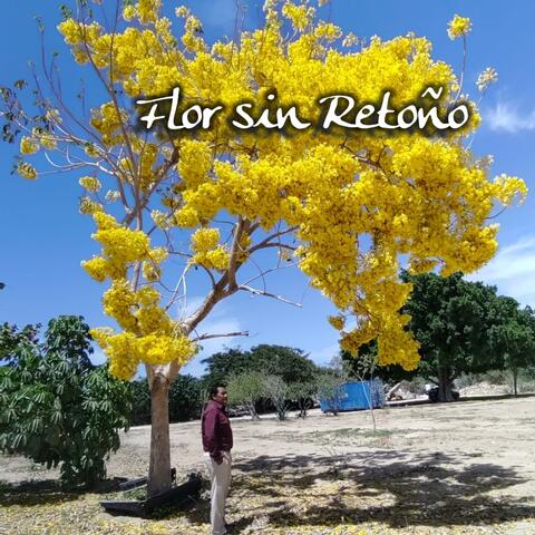 FLOR SIN RETOÑO