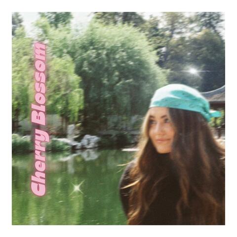 Cherry Blossom