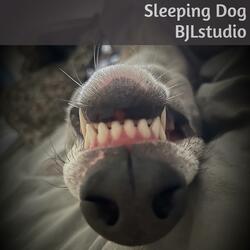 Sleeping Dog