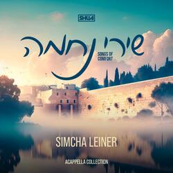 Mi Shebeirach L'tzahal (feat. Shua)