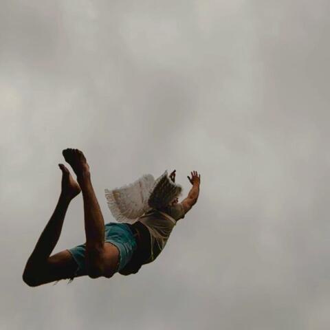 Fly to the Window