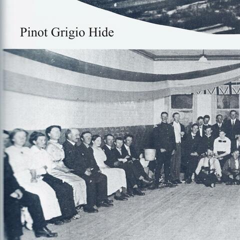 Pinot Grigio Hide