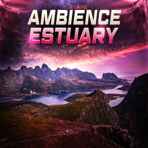 Estuary (Ambience)