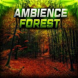 Secrets in the Pines