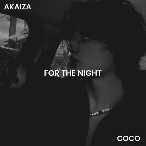 For The Night (feat. Akaiza)