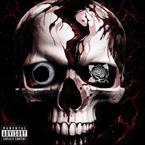 Not Even Trying (feat. sufferplenty)