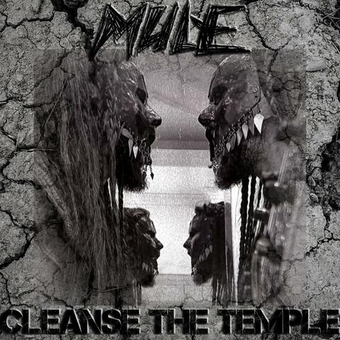 Cleanse The Temple