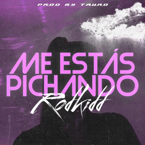 Me Estás Pichando (feat. taurobeats)