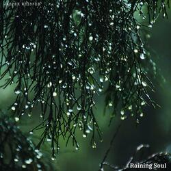 Raining Soul (feat. Alma Lin, Nina Nalo, Sensory Meditation & Flame Timo)