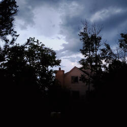 Parasomnia